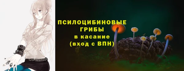 молекула духа Карпинск