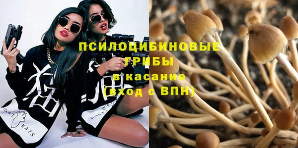 Альфа ПВП Касимов