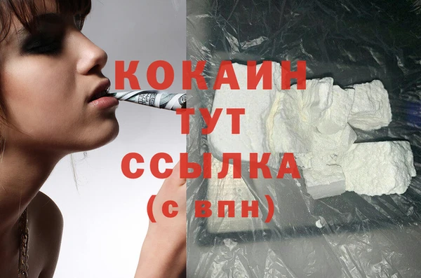 молекула духа Карпинск