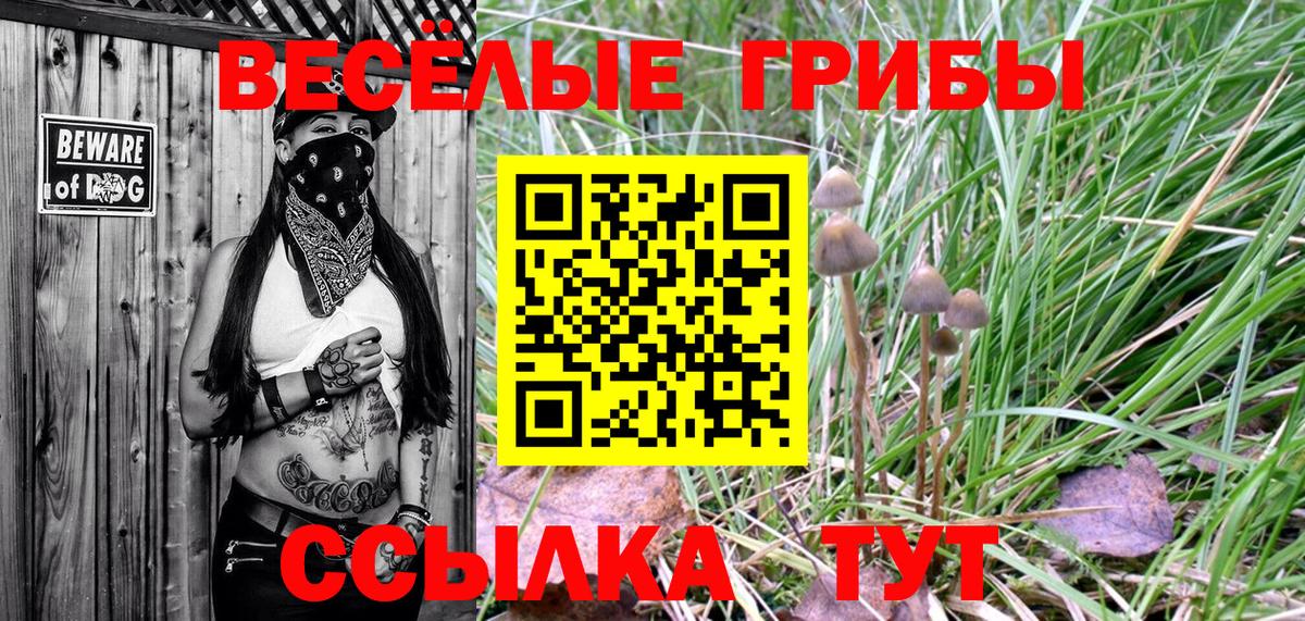 Галлюциногенные грибы мухоморы Жуковский