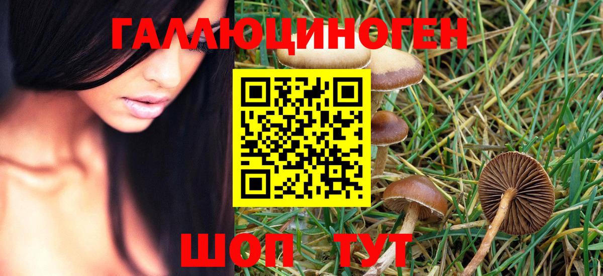 сколько стоит  Псилоцибиновые грибы ЛСД  Жуковский  Псилоцибиновые грибы Psilocybine cubensis 